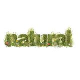 Trip Engineer - Natural