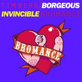 Tim Berg vs Borgeous - Invincible Bromance (Adrian Kwiatkowski Mashup)
