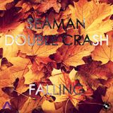 Seaman - Falling