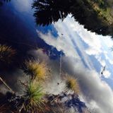 Life In Liquid Skies