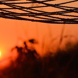 ACID JAZZ ... sunset on tuesday