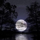 Dj ToxicWave23 - Liquid dnb mix
