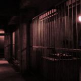 DK619 - Voll auf die 12