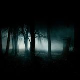 MAX RICHTER - OPEN DARK-MINDED SERIES 2015 (Promoseries Part.03)