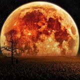 Amber Moon: 20 min hw-only liveset