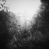 Recent Songs #4 :: Words Upon an Ocean