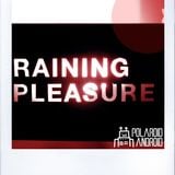 minitape #6: from the Raining Pleasure