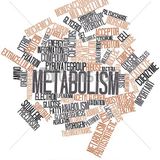 Metabolysm mixlive1.3 unikod