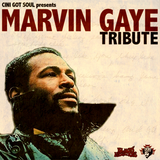Marvin Gaye Tribute
