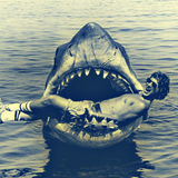 Requin !