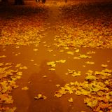 Autumnal Ephemera