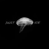 ICE-BLOCKS*