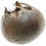 PAPURA-Medlar