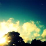 New Day
