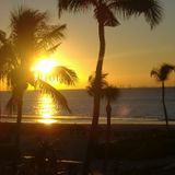 January House Mix (2) 2011