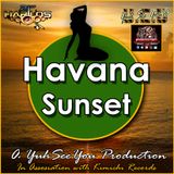 YB EXCITEMENT REGGAE RADIO - sunscreen riddim meets havana sunset riddim DJ FADDA B new 4 september