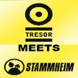 Pierre @ Aciiiid! Stammheim Meets Tresor - Tresor Berlin - 04.04.2008