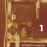 DJ ELEKTROSALZ - the LSFestival set 2012 part one