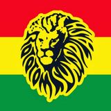 Special Rototom Sunsplash 2015 part 2