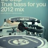 DJ Step – True bass for you 2012 mix