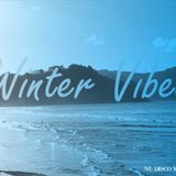 Dj Ment - Winter Vibes - Nu Disco Mix vol.2