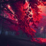 Liquid Drum & Bass Mix (Arkestra)