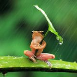 Time Out
