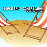 Blake Brix - Zomertijdmix (ft Richard Feelgood)