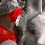 FOXY la TIGRE