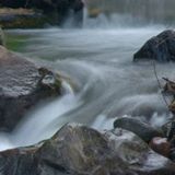 With the Flow - Sacred Circle Dance Aug 3 2014