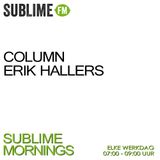 Column Erik Hallers VR 21-02 'Schaatsen'