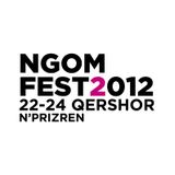 Jona Plumbi @ NGOMfest 2012