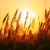 Rayando el Sol