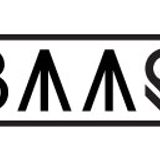 Baar - Bugsy - mei 2013