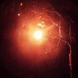 Forgotten Heartbeat #2