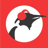 Pinguin Radio Graadmeter 2014-08-03
