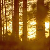 noid - supynes 2014