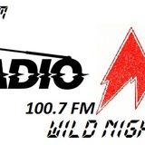 Dj Kadett - Wild Night Session No.2 (Podcast Radio M)
