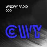 WNCWY 09 - Especial Fin de año del mejor Techno, Tech House 2015 (Chinowy Mix)