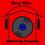 Deep Vibes 04