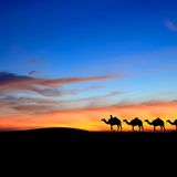 arabica relax by nanE