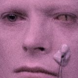 LSD087