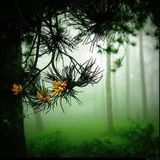 The photograph itself doesn't interest me. I want only to capture a minute part of reality.
