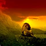 Broken Mindz in the Jungle feat. Morning Change vol. 30