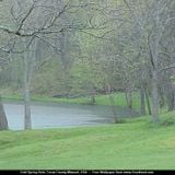 Spring Rain / Dj Herb Martin