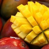 Mangue Acide