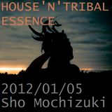 HOUSE'N'TRIBAL ESSENCE