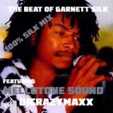 The Best of Garnett Silk Mix.mp3