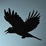 Fixe - As The Crow Flies