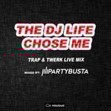 PartyBusta - The DJ Life Chose Me
